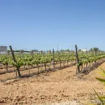 Quinta Dionysus By Algarve Holidays