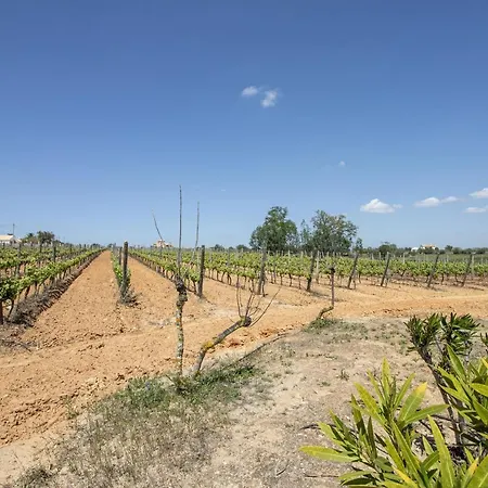 Quinta Dionysus By Algarve Holidays *
