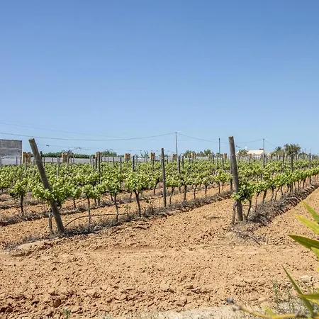 Quinta Dionysus By Algarve Holidays